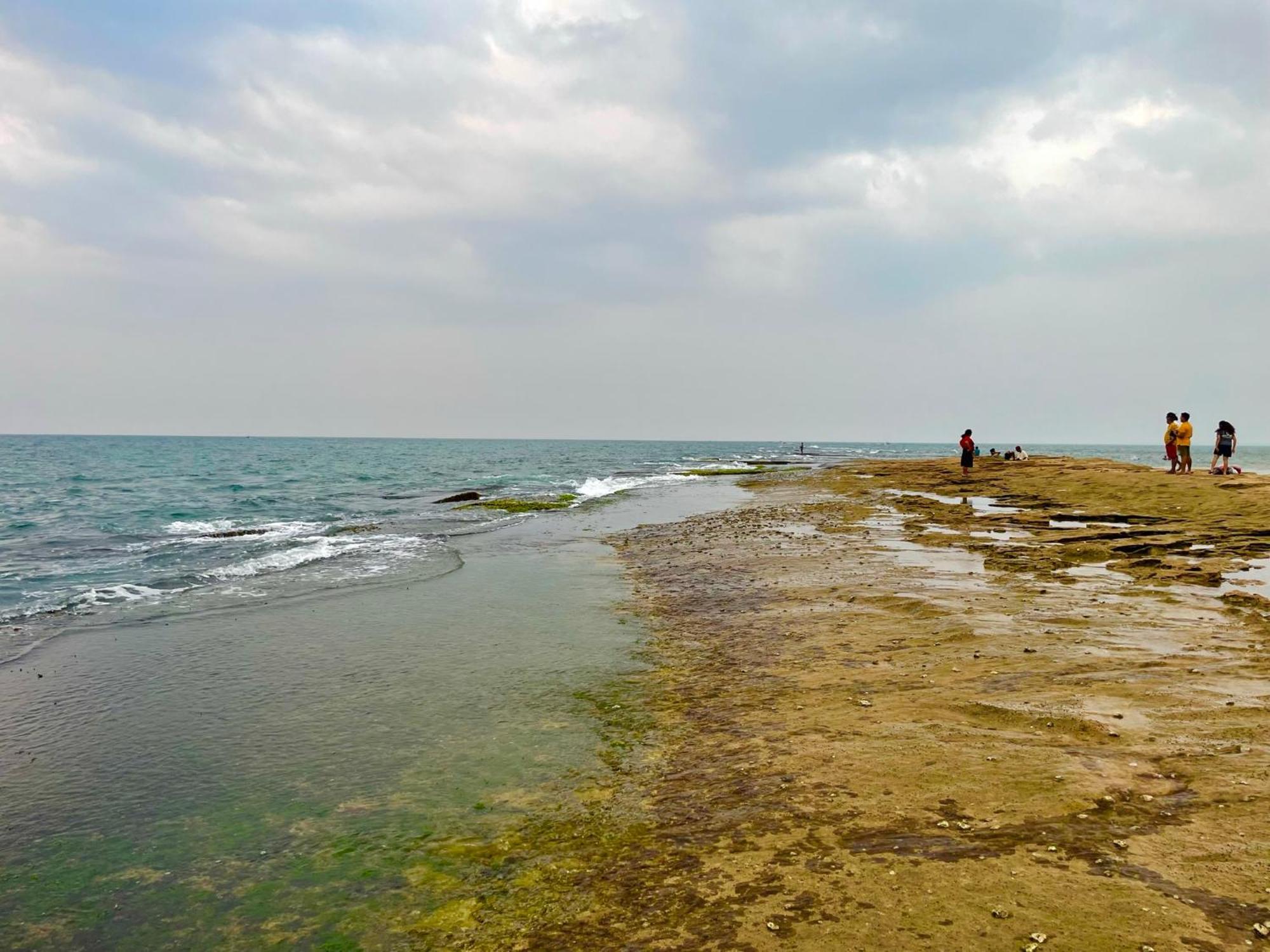 Negombo Morawala Beach Villa Bagian luar foto